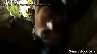Desimms of a young house wife enjoying a quick fuck with neighbor